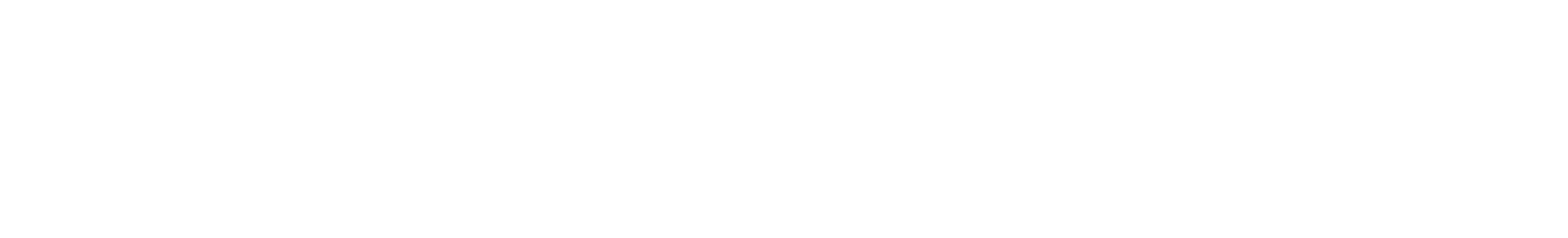 Logo blanc Nano Solution Toiture pour traitement de toiture GoNano